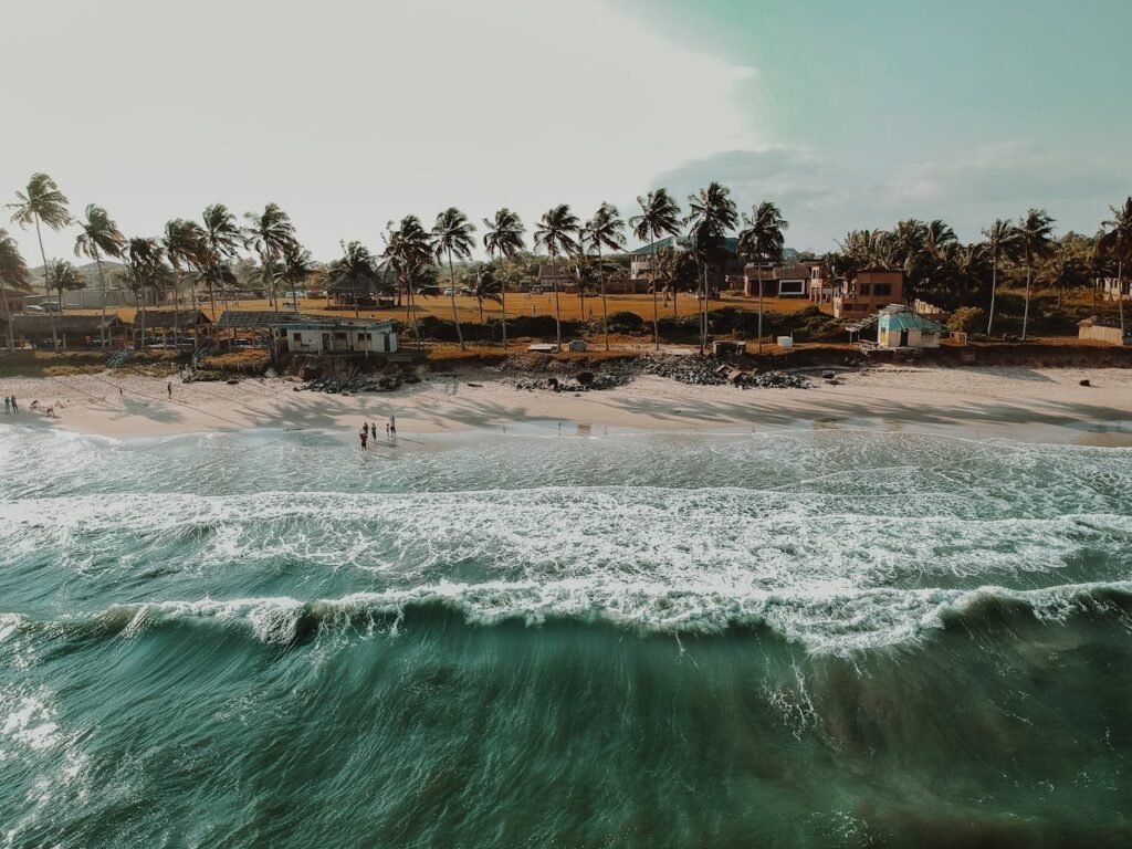 pexels photo 2787815.jpeg