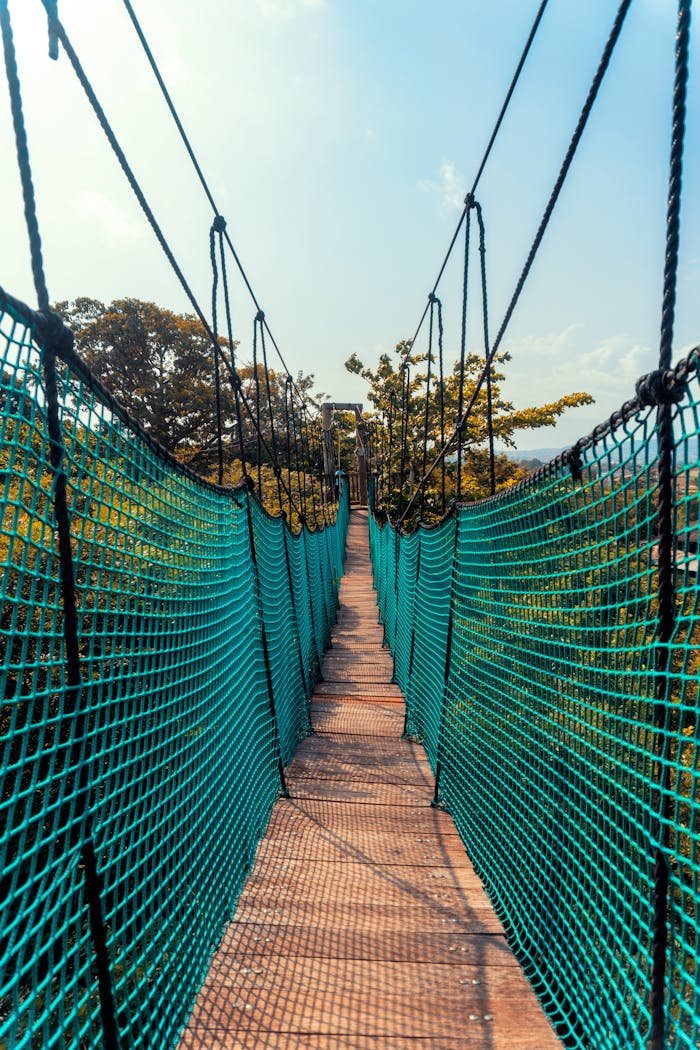 Crafting Captivating Headlines: Your awesome post title goes here A scenic view of a suspension bridge with green nets in a lush forest setting.